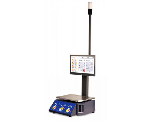Купить Весы с печатью этикеток DataPrint Falcon 15" (3/6/15 кг, hHD+) от DataPrint