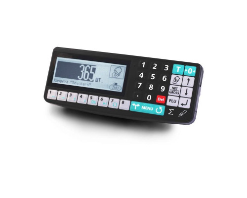 Купить Весы платформенные Масса-К 4D-PM-15/15-1000-RA от Масса-К