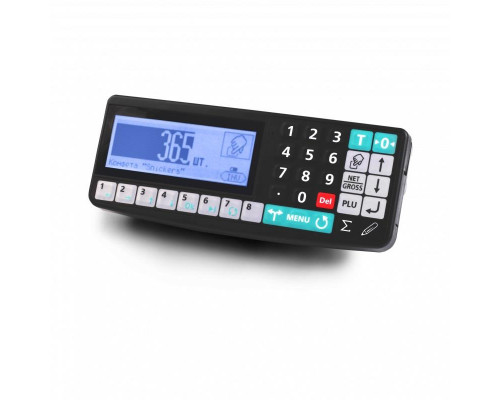 Купить Весы напольные Масса-К TB-5040N-200.2-RA3n от Масса-К
